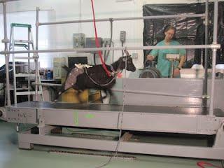 2012-04-25_10.44.34small.jpg