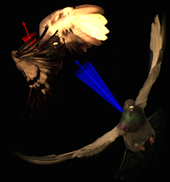 ivo_ros.png