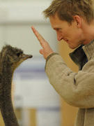 Jim Usherwood facing an emu