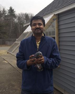 Partha Bhagavatula holding pigeon
